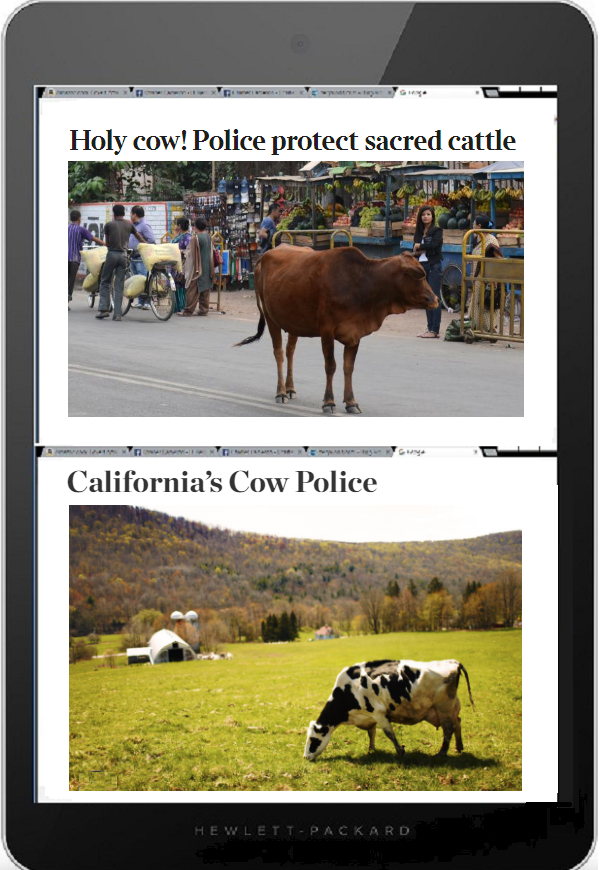 Tablet DQ 600 cow police