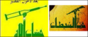 hezbollah flag variants