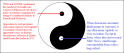 ying-yang